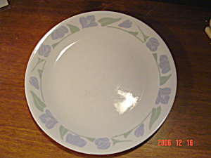 Corelle Friendship Dinner Plates