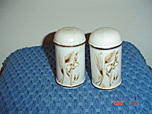 Wedgwood Midwinter Wild Oats Salt and Pepper Shakers (Image1)