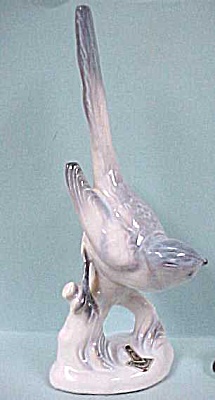 Cortendorf Bird (Image1)
