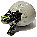R074r Hatching Tortoise (Image1)