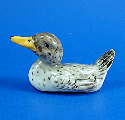 Klima 020 Duck (Image1)