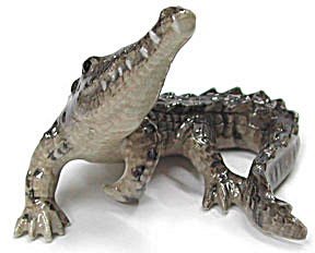 R354r American Crocodile (Image1)