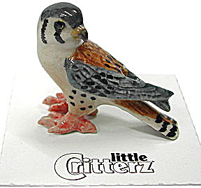 little Critterz LC579 Kestrel Falcon (Image1)