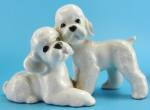 Click here to enlarge image and see more about item a06674: Adorable Poodle Pair Figurine
