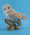 Click here to enlarge image and see more about item a06985: Barn Owl on Branch