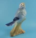 Click here to enlarge image and see more about item a07095: Royal Copley Blue Bird 