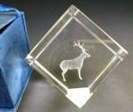 Click to view larger image of 3D Deer Crystal Paperweight (Image2)