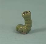 Click to view larger image of Hagen-Renaker Miniature Baby Worm (Image2)