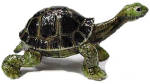 Click here to enlarge image and see more about item n00428: R094 Galapagos Tortoise