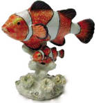 R142 Clown Fish