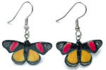 Click here to enlarge image and see more about item n03383: Northern Rose Painted Beauty Butterfly Earrings