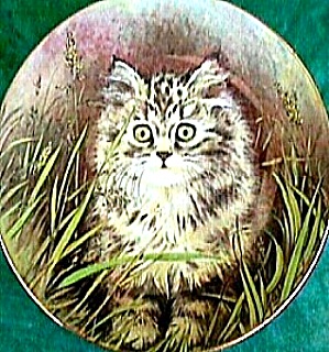 Kitten Classic Wild Flower Wildflower Pam Cooper Royal Worcester Crown Ware Cat Kitty (Image1)