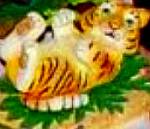 Protect Nature's Innocents Bengal Tiger Endangered Species Animal Hamilton Manning Bs
