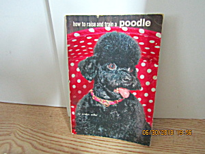 How To Raise And Train A Poodle (Image1)