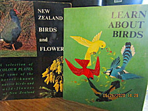 Learn About Birds & New Zealand Birds & Flowers (Image1)