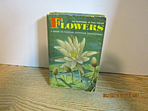 GoldenNature Guide Flowers Familiar AmericanWildflowers (Image1)