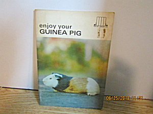 Enjoy Your Guinea Pigs