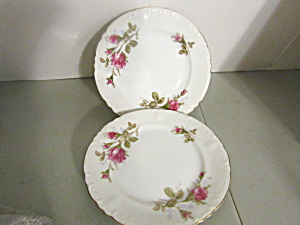 Vintage Fine China Of Japan Royal Rose Bread Plate Set (Image1)