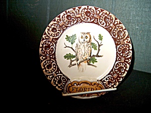 Collector State/souvenir Plate Florida Owl