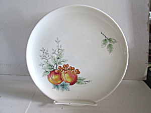 Vintage Carefree Syrecuse China Wayside Luncheon Plate (Image1)