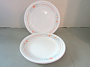 Corelle Apricot Grove Dinnerware 4-Dessert Plates (Image1)