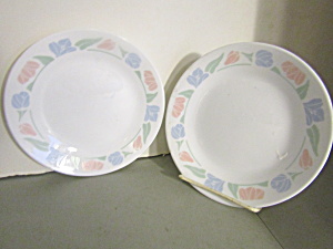 Vintage Corelle Friendship Salad Plates 2-Piece Set (Image1)