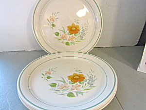 Corelle Cornerstone Glenora Four Dinner Plates (Image1)