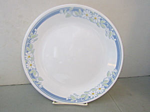 Corelle Jasmine Dinner Plate Set of Two (Image1)