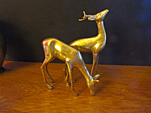 Vintage Brass Deer Set Buck & Doe