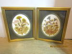 Click here to enlarge image and see more about item Aart5e: Vintage Natural Pressed Flower Art Wall Hanging