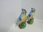 Click here to enlarge image and see more about item afa11n: Vintage Porcelain Bluebird Figurines On Log