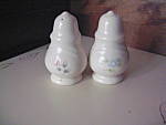 Click here to enlarge image and see more about item ptrose10r: Pfaltzgraff Tea Rose Salt and Pepper Set