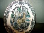 Click here to enlarge image and see more about item staspl3vc: Vintagec State/Souvenir  Plate Pocono Mountains Pa.