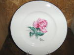 Click here to enlarge image and see more about item syro6t: Vintage Syracuse China IRon Wimm Rose Luncheon Plate