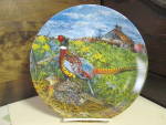 Click here to enlarge image and see more about item ulba1k: Upland Birds of North America Plate The Pheasant