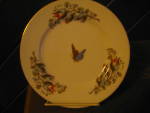 Click here to enlarge image and see more about item varwp6h: Salad/Dessert Plate Butterfly's and Flowers