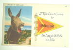Comic Vintage Postcard - Hee Haw