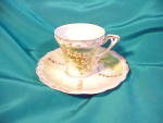 Click to view larger image of RS PRUSSIA(UM)STIPPLE FLORAL CUP AND SAUCER (Image1)