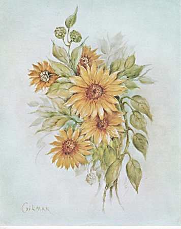 Jacque Gilman - Sunflowers - Print - Oop