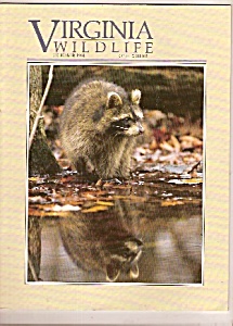 Virginia Wildlife - October 1990