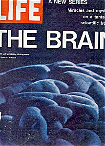 Life Magazine - October 1, 1971