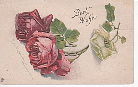 Vintage - Roses - Catherine Klein - 1917