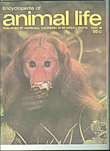 aEncyclopedia of animal life - part 90 1974 (Image1)