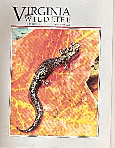 Virginia Wildlife -  October 1993 (Image1)