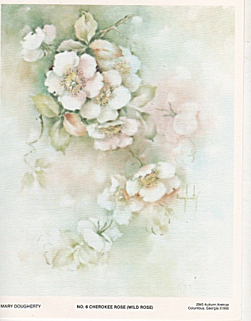 Mary Dougherty Wild Rose China Painting Study #6