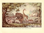 Click here to enlarge image and see more about item CI073: CURRIER AND IVES- - SUNDAY DIVERSION