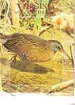 Virginia Wildlife -  June 1998