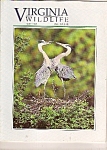 Virginia Wildlife - May 1994