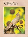 Click here to enlarge image and see more about item J6868F: Virginia  Wildlife - May 1995