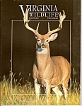 Virginia Wildlife - August 2003